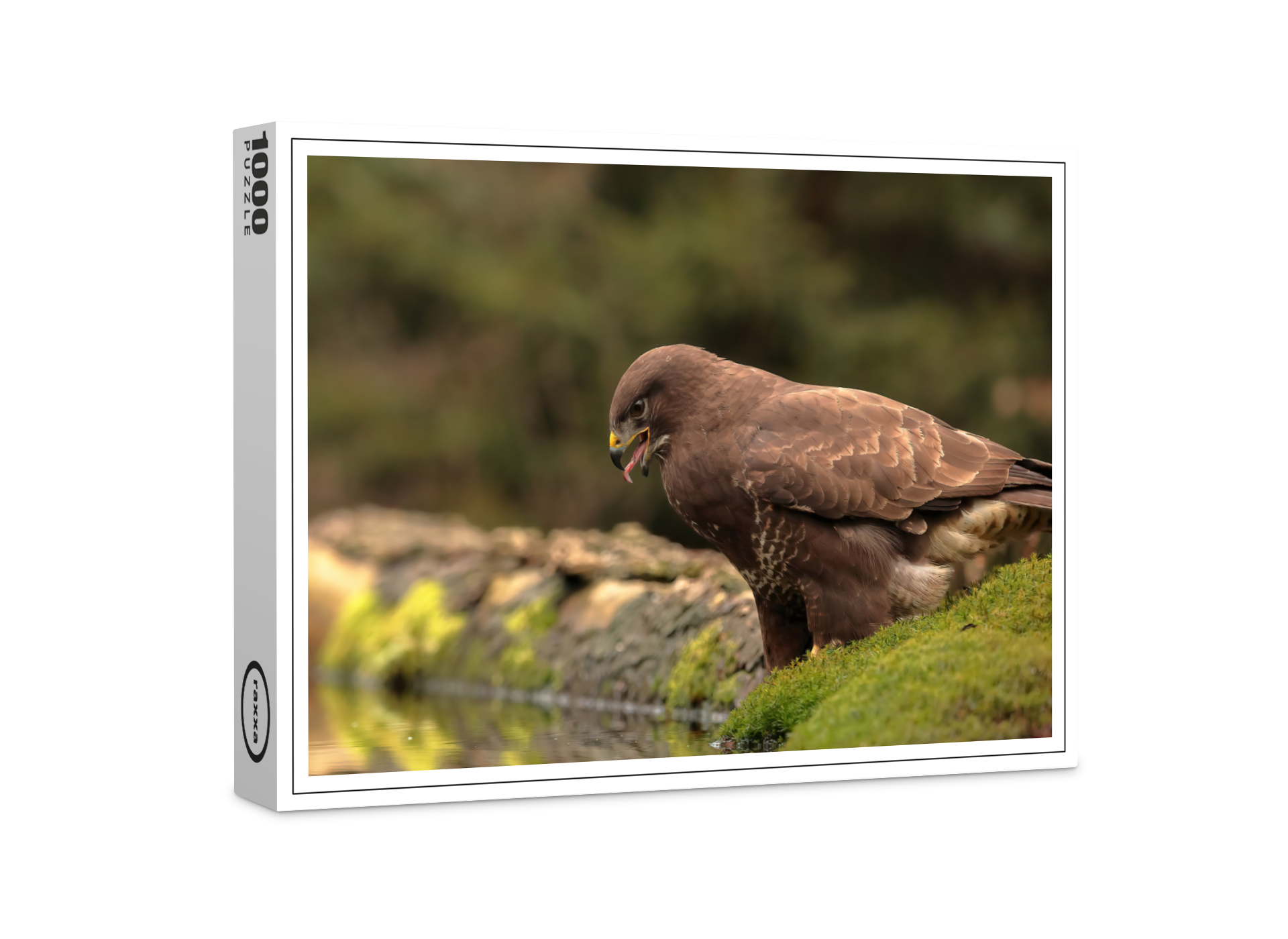 raxxa Premium-Puzzle: Mäusebussard