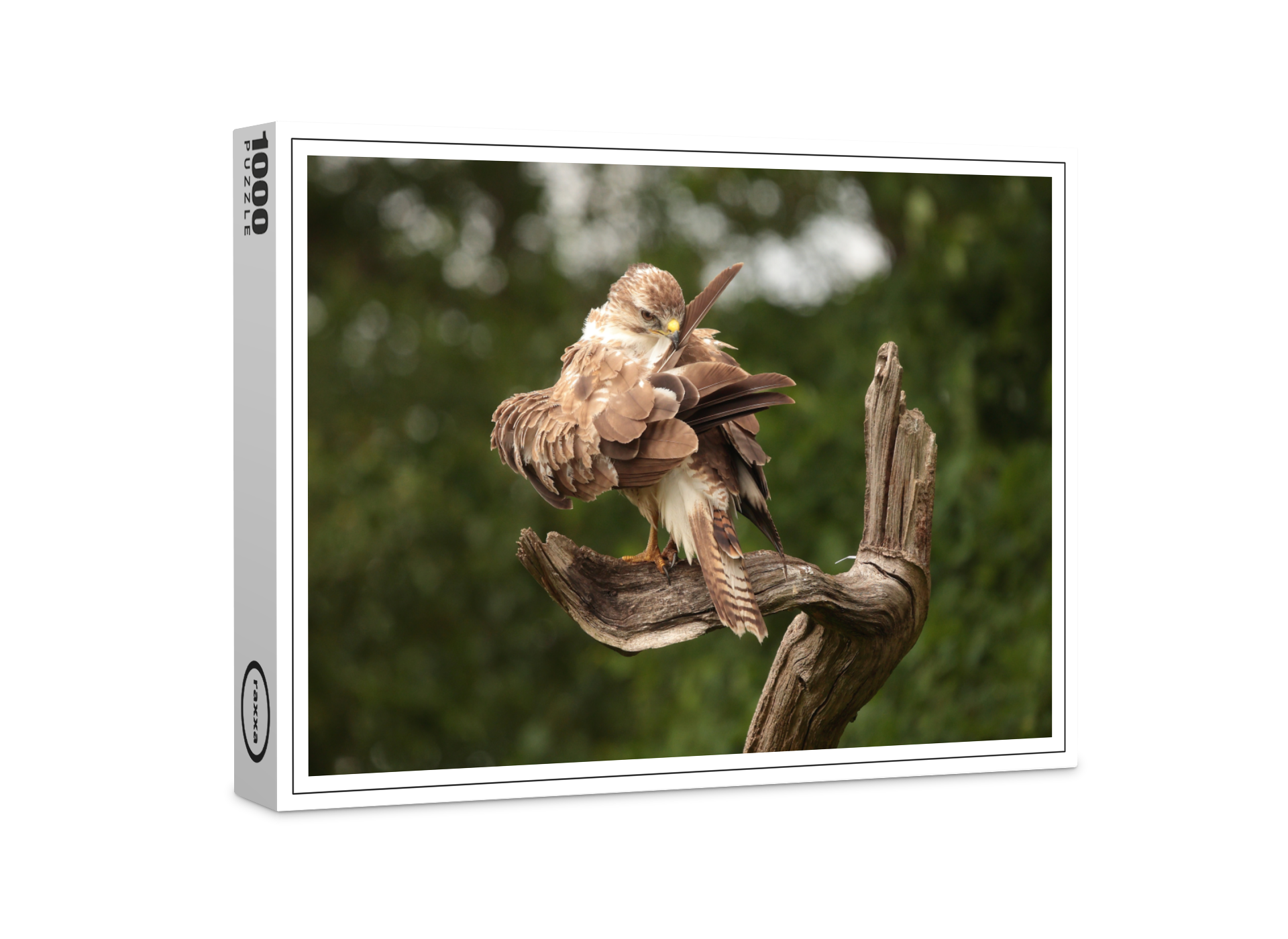 raxxa Premium-Puzzle: Mäusebussard