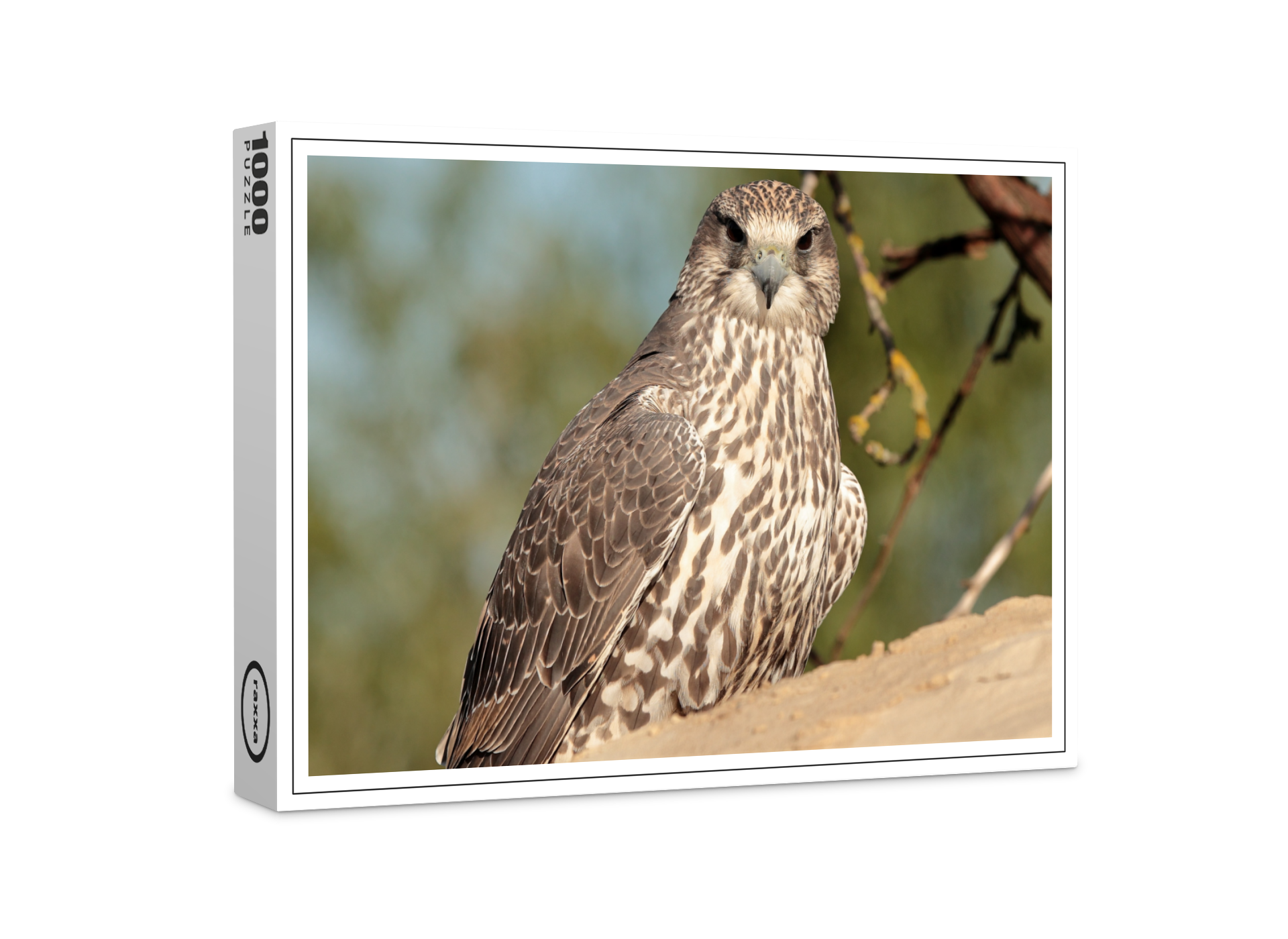 raxxa Premium-Puzzle: Gerfalke