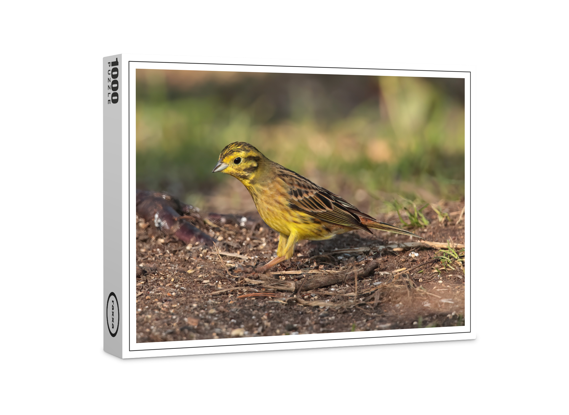 raxxa Premium-Puzzle: Goldammer