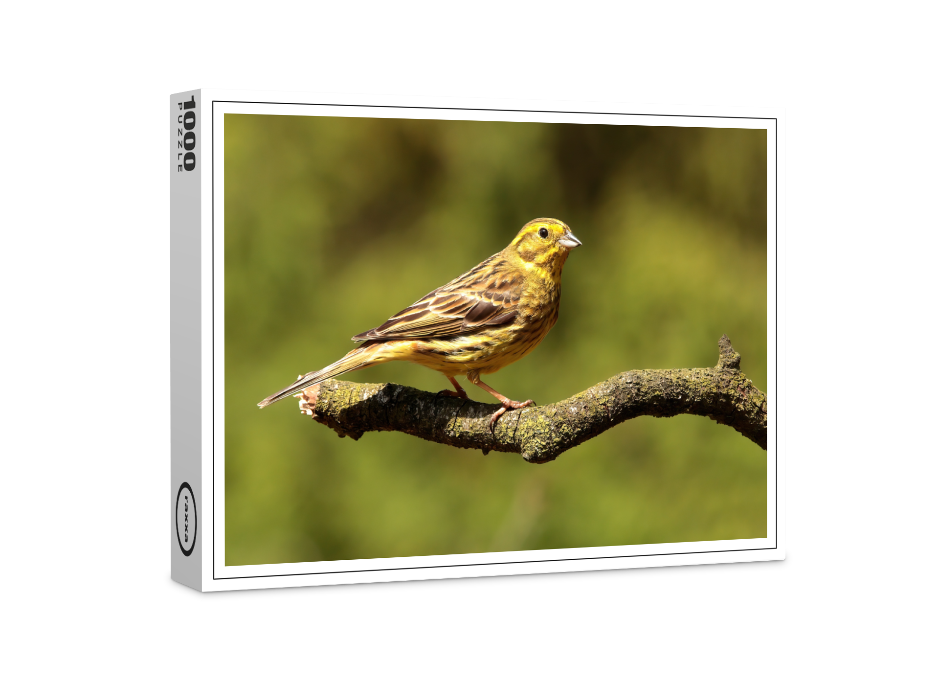 raxxa Premium-Puzzle: Goldammer