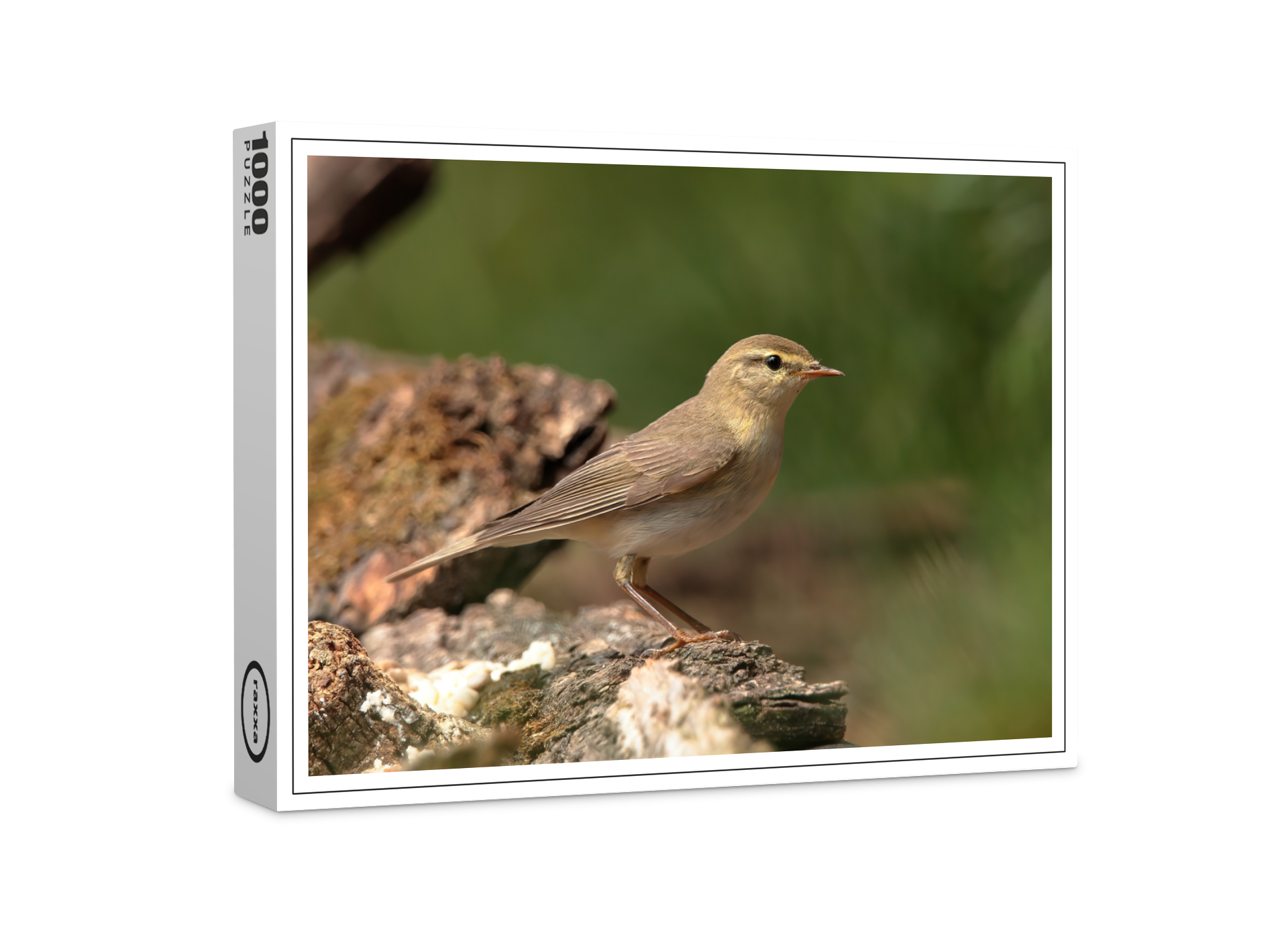 raxxa Premium-Puzzle: Fitis