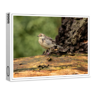 raxxa Premium-Puzzle: Vogel