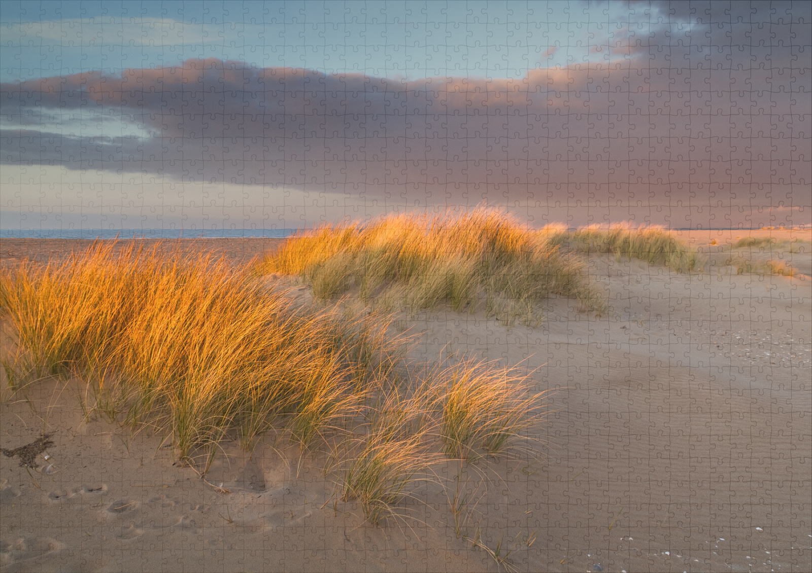 raxxa Premium-Puzzle: Dünengras I, Normandie - immagine 2