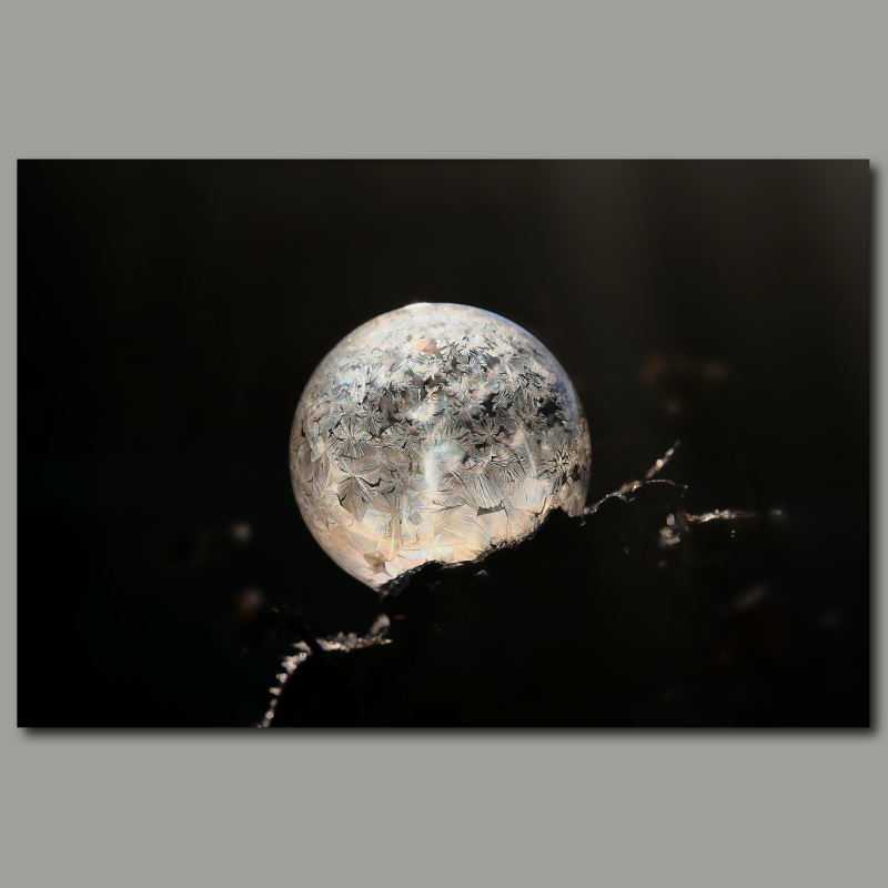 Poster: Frozen Bubble