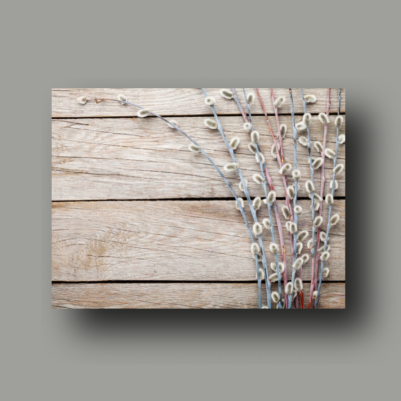 Poster: Palmkätzchen