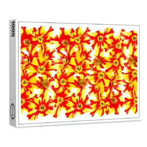 raxxa Premium-Puzzle: bunte Tulpe Blumen Feld