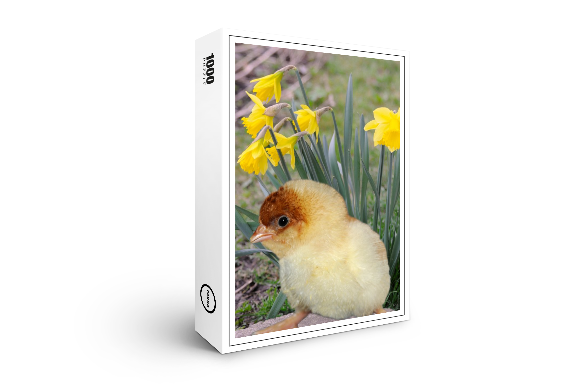 raxxa Premium-Puzzle: Kücken