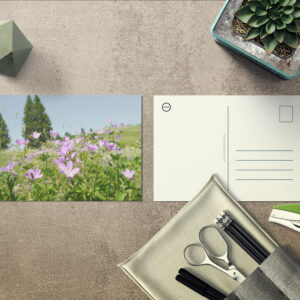 raxxa Postkarte: Storchschnabel auf Blumenwiese