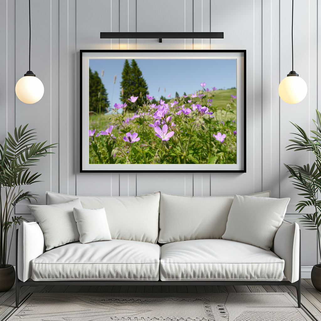 Poster: Storchschnabel auf Blumenwiese - immagine 2