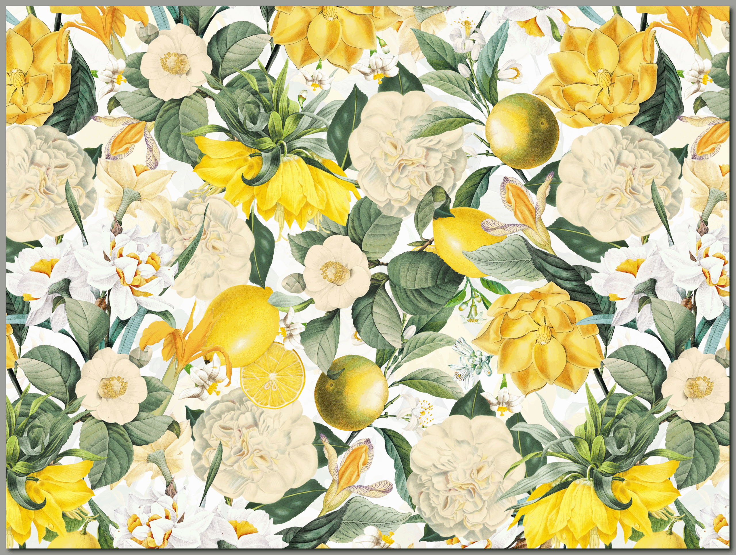 raxxa Premium-Tischset: Magie der Tropen: Magnolia Vintage-Blumen und Früchte – Image 2