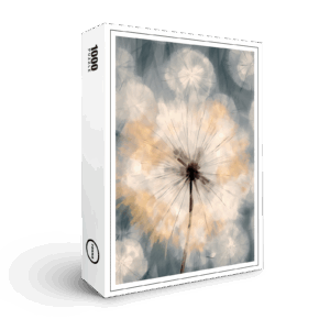 raxxa Premium-Puzzle: Minimalistische Pusteblumenwelt