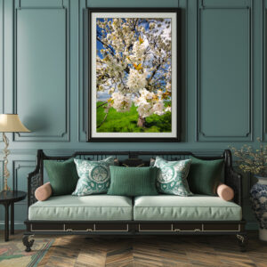 Poster: Frühlingsblüten