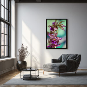 Poster: Bllra Orchid Marfitch Howard’s Dream