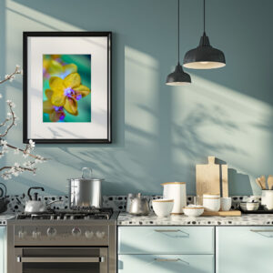 Poster: Phalaenopsis-ks-orange-rainbow