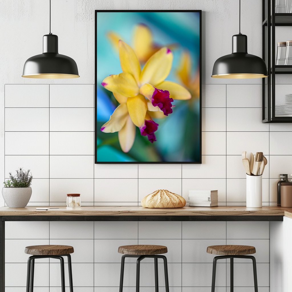 Poster: Cattleya Hybride - immagine 2