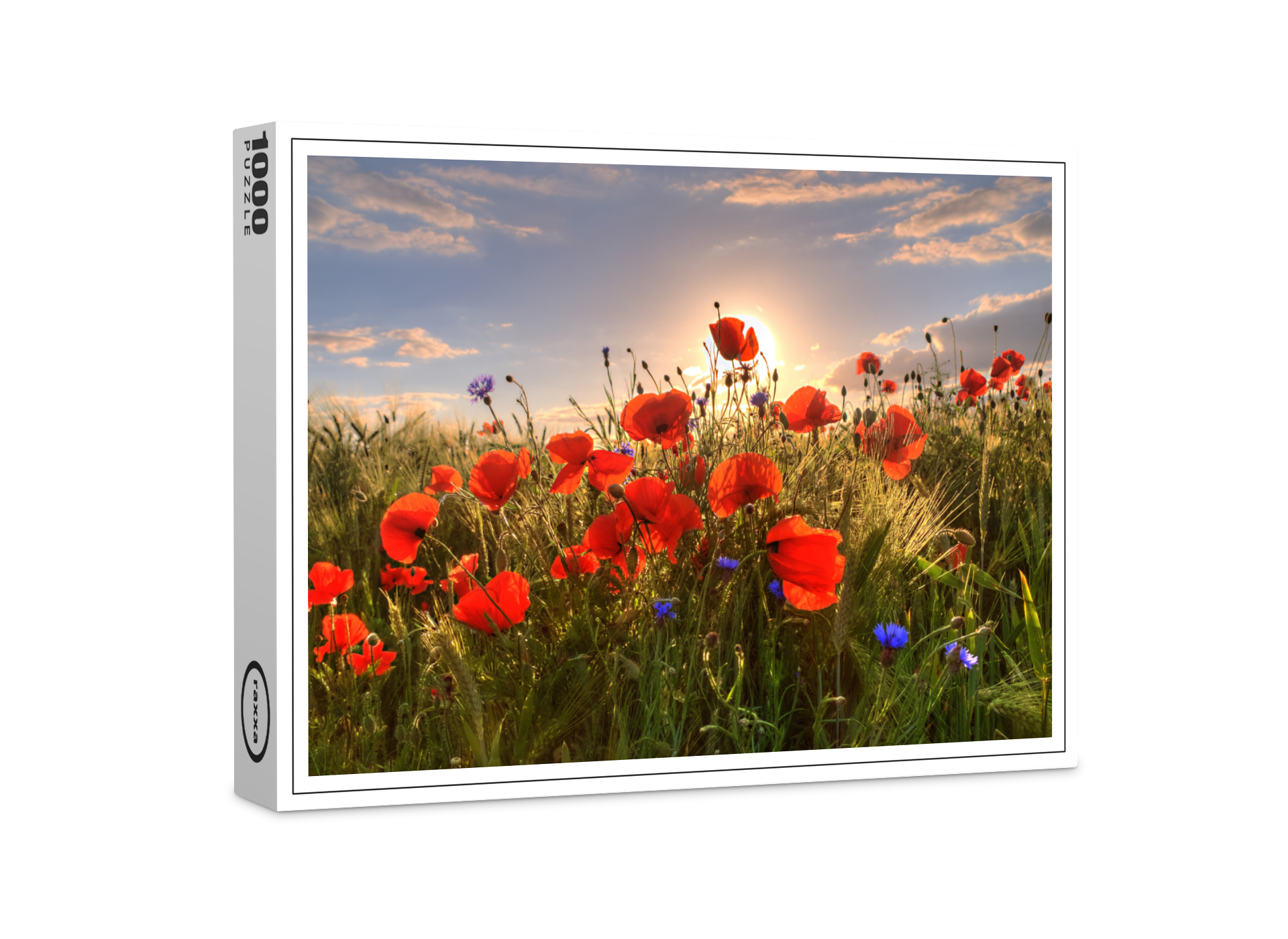raxxa Premium-Puzzle: Mohn im Licht