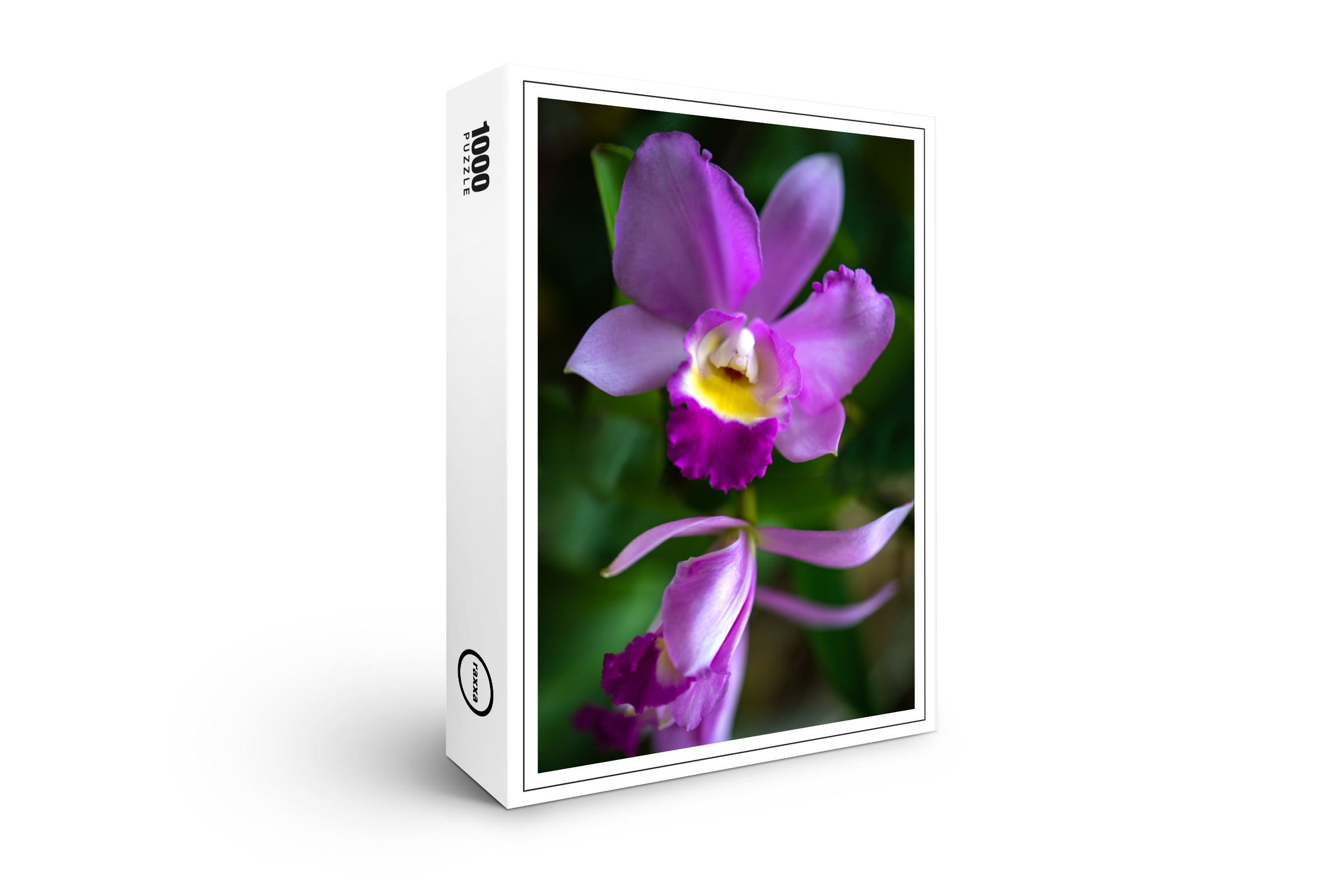 raxxa Premium-Puzzle: Cattleya Love Knot