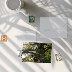 raxxa Postkarte: Baumgasse