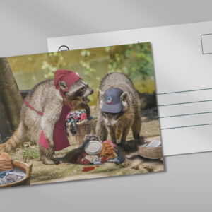 raxxa Postkarte: Wasch-Bären