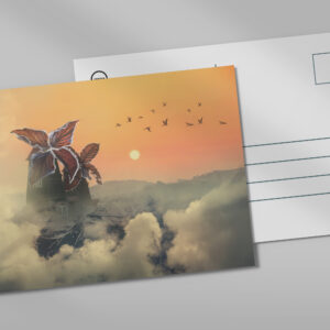 raxxa Postkarte: Windmühlen