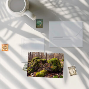 raxxa Postkarte: Traumwelten - Moosheim