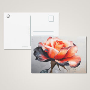 raxxa Postkarte: Schönheit der Rose