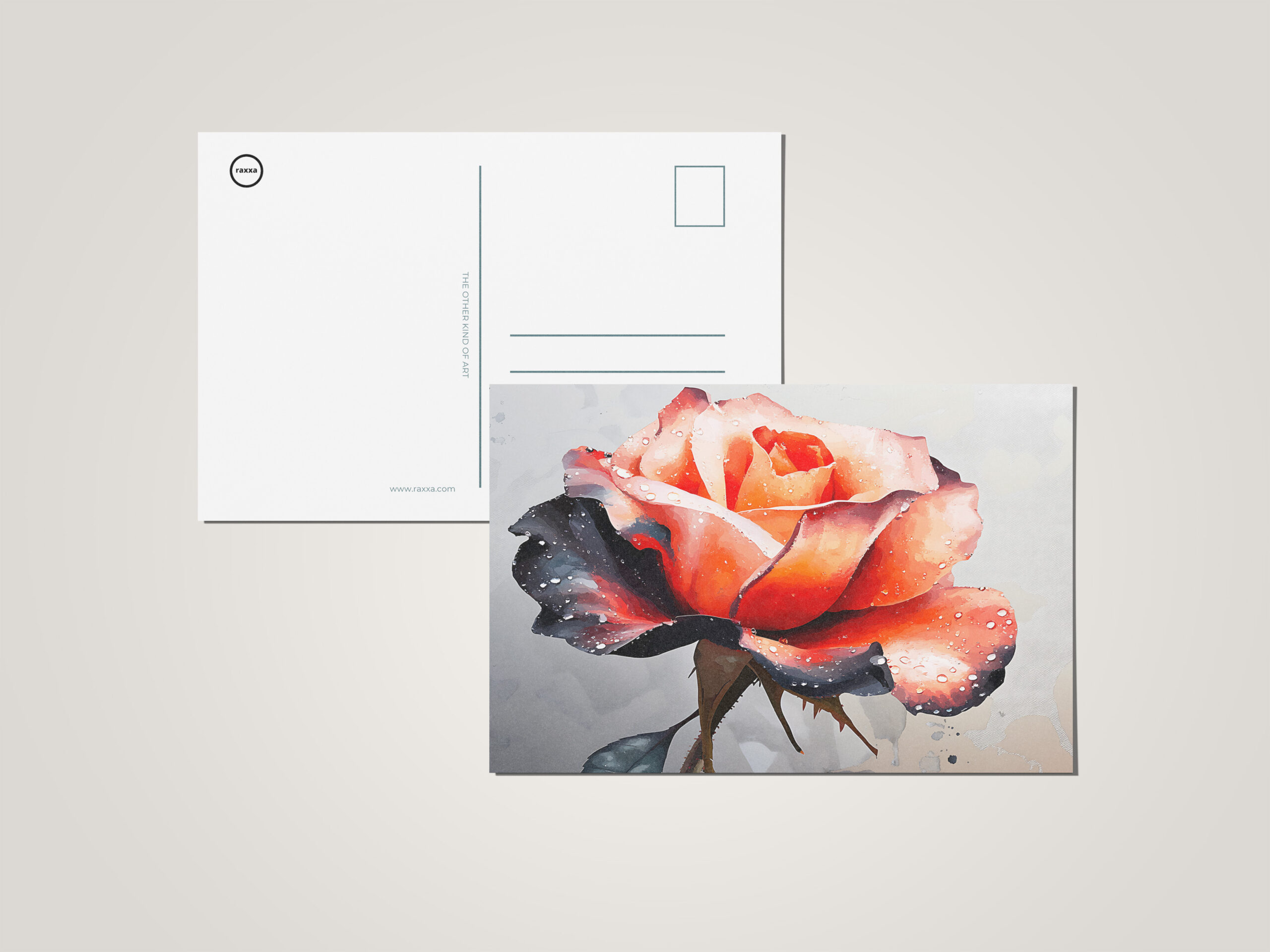 raxxa Postkarte: Schönheit der Rose