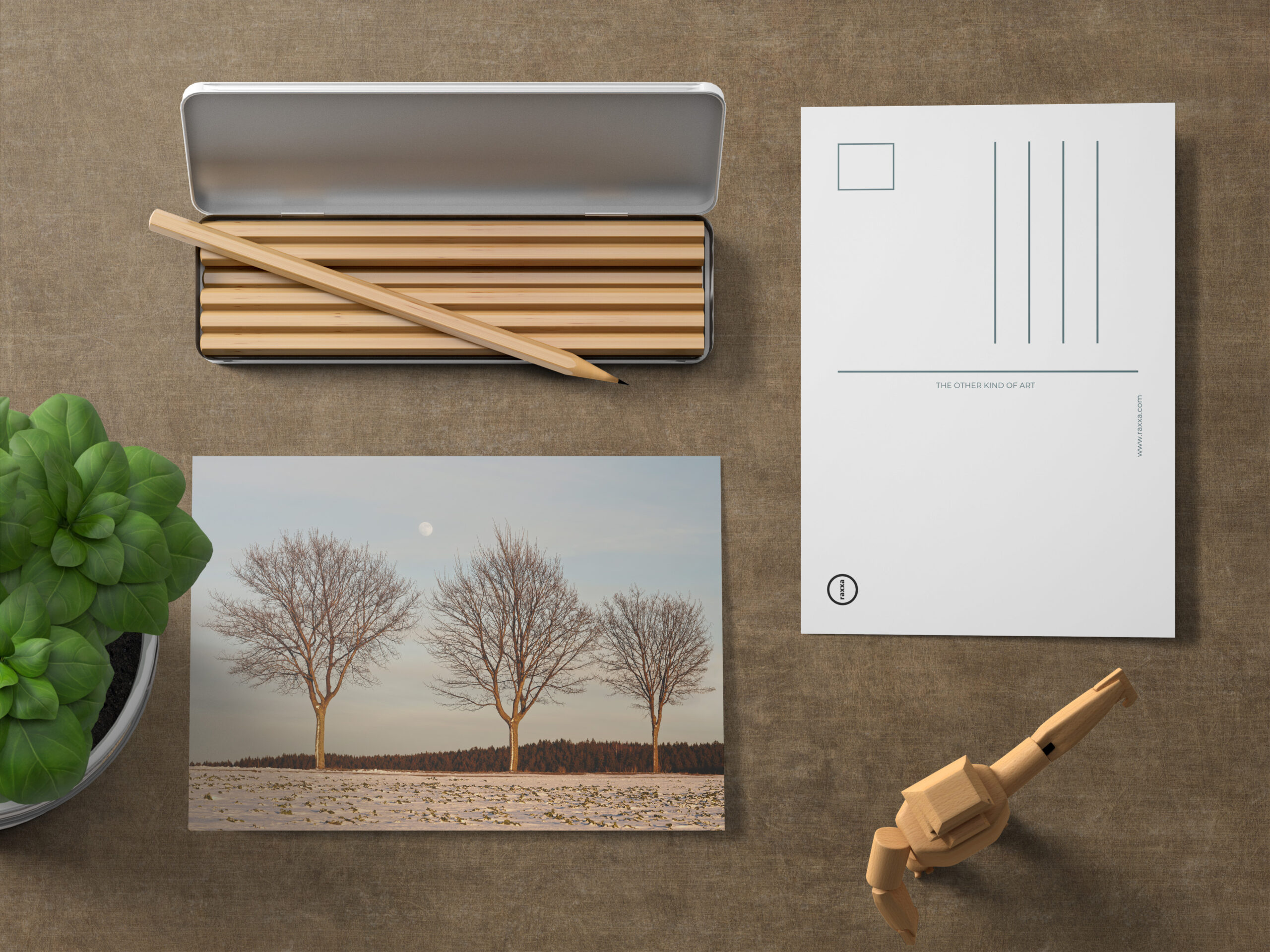 raxxa Postkarte: Abendlicht im Winter