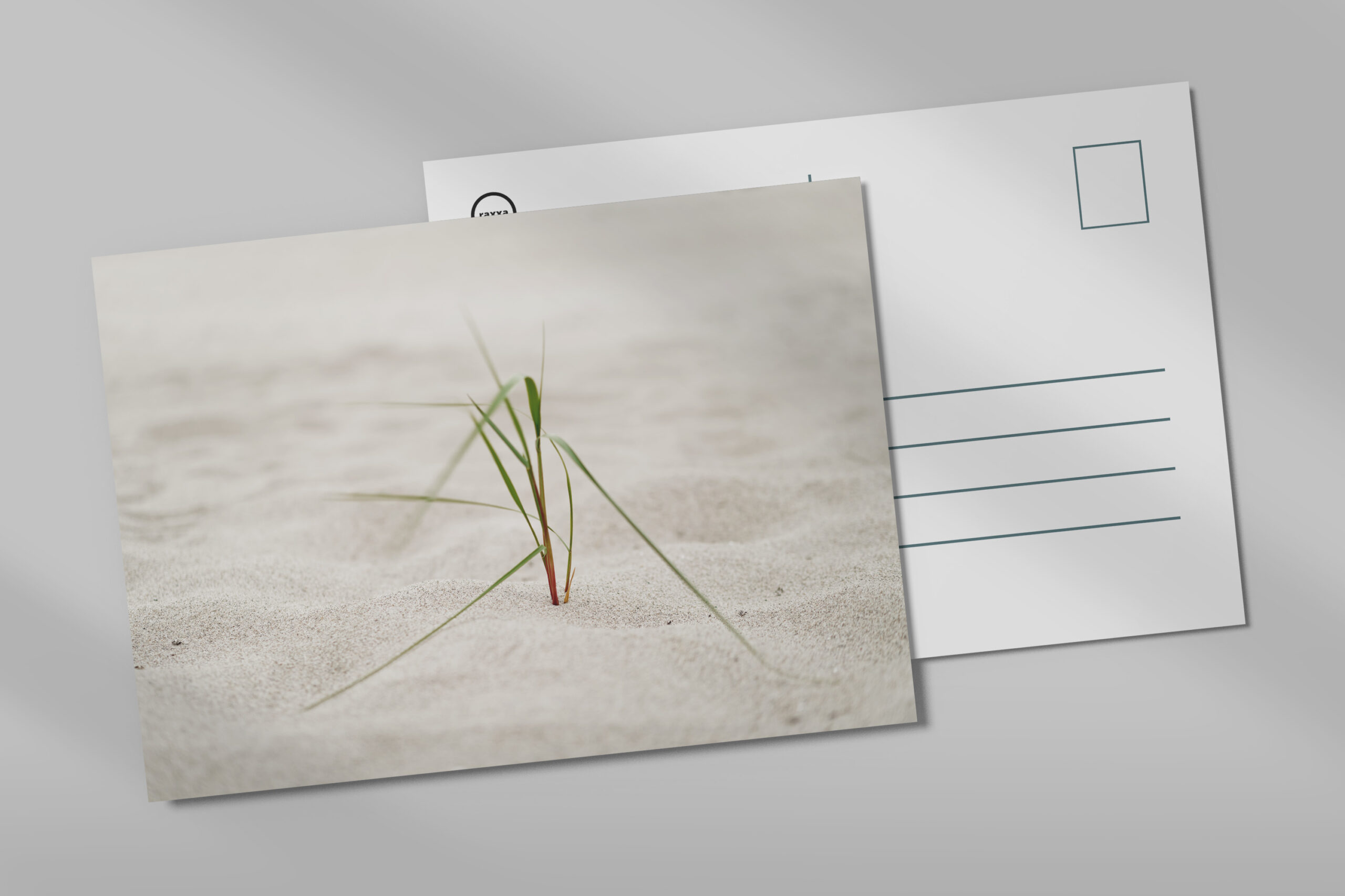 raxxa Postkarte: Strandgras im Seewind