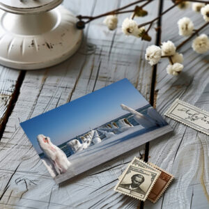 raxxa Postkarte: Ein Wintertag in Travemünde