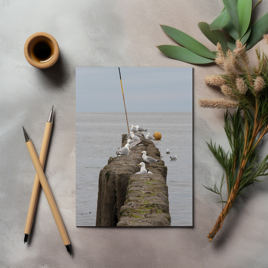 raxxa Postkarte: Buhnen in der Nordsee