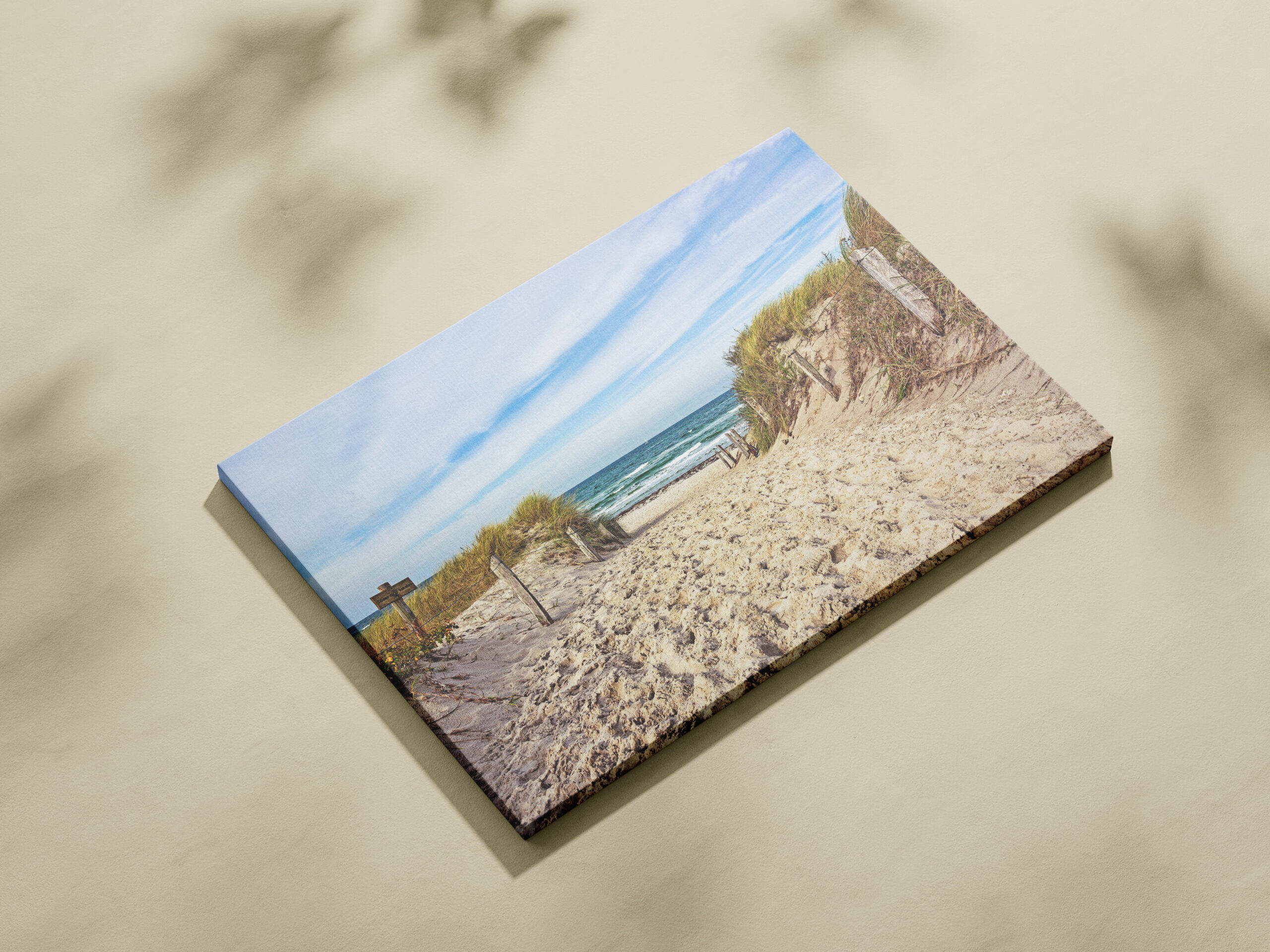 raxxa Canva: Fischland Darß – Image 2