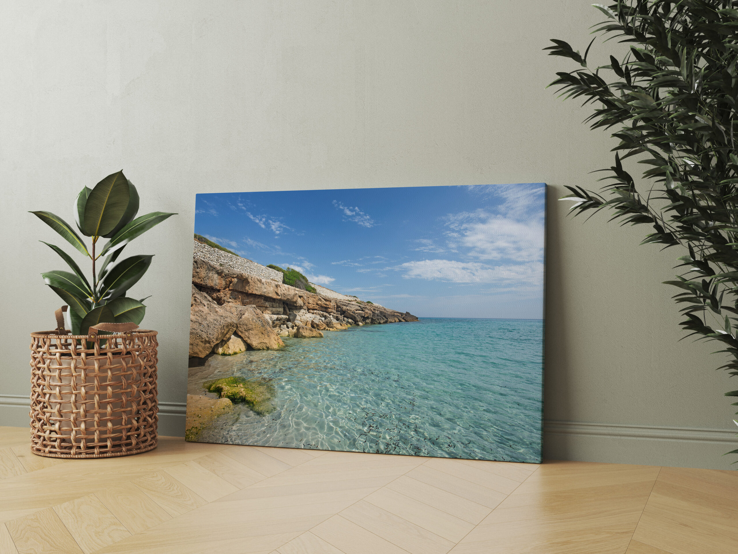 raxxa Canva: Cala Mitjana o S Aduaia