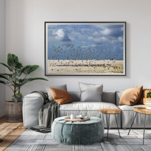 Poster: Vögel am Nordseestrand