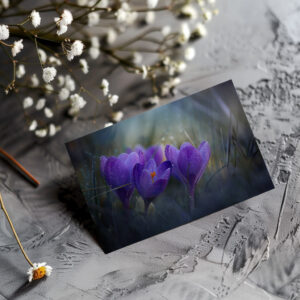 raxxa Postkarte: Erwachen
