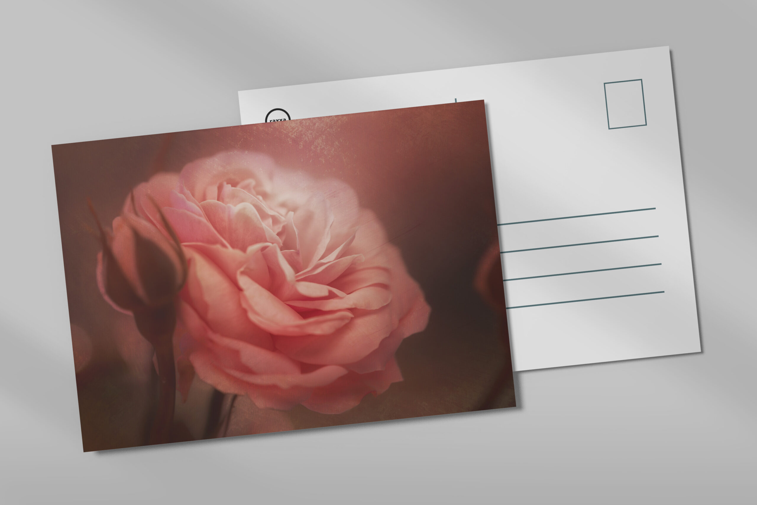 raxxa Postkarte: Rose