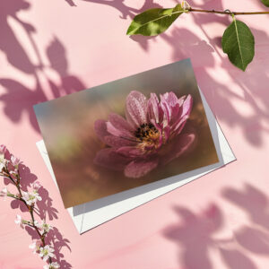 raxxa Postkarte: Dream