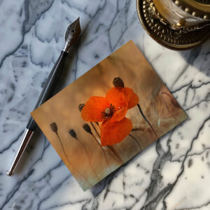 raxxa Postkarte: Mohnblume
