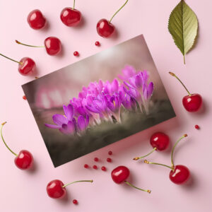 raxxa Postkarte: Rosa Zauber