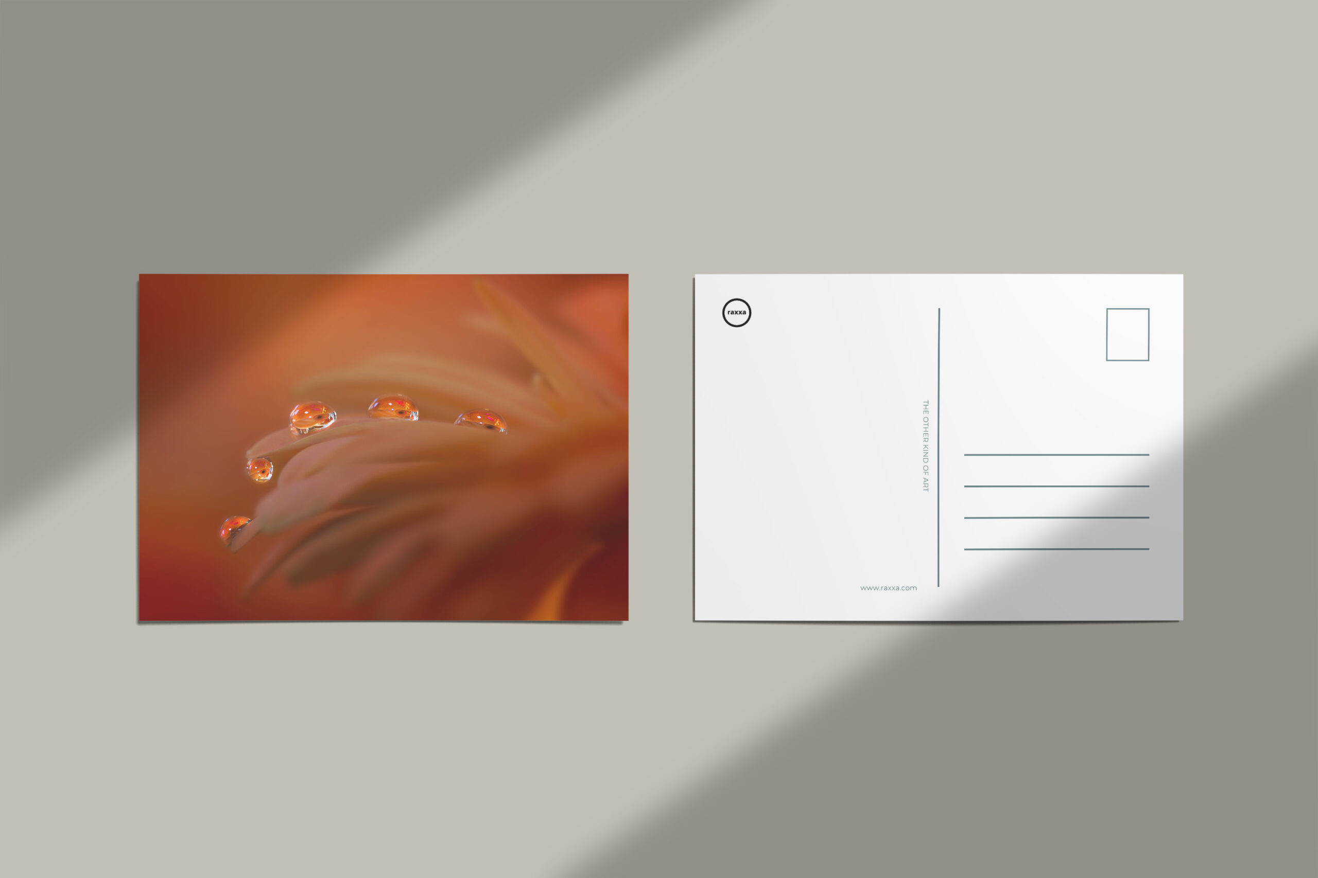 raxxa Postkarte: Tropfengarde