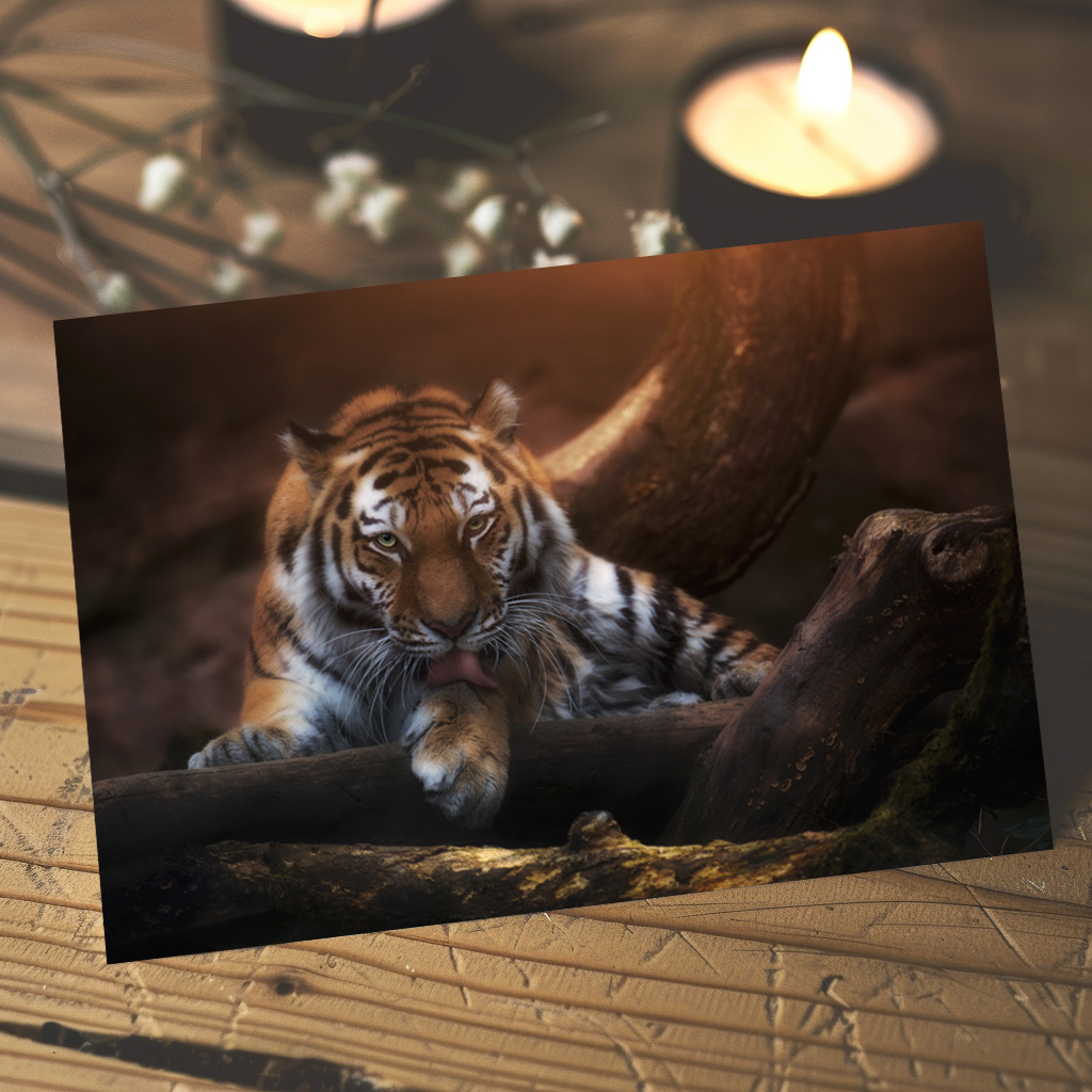 raxxa Postkarte: I see you