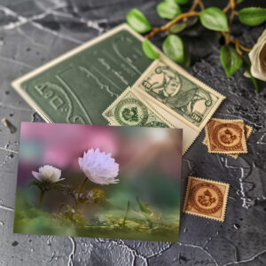 raxxa Postkarte: White flower