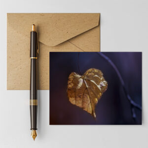 raxxa Postkarte: Herzblatt