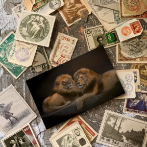 raxxa Postkarte: Brothers