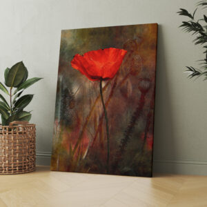 raxxa Canva: Mohnblume
