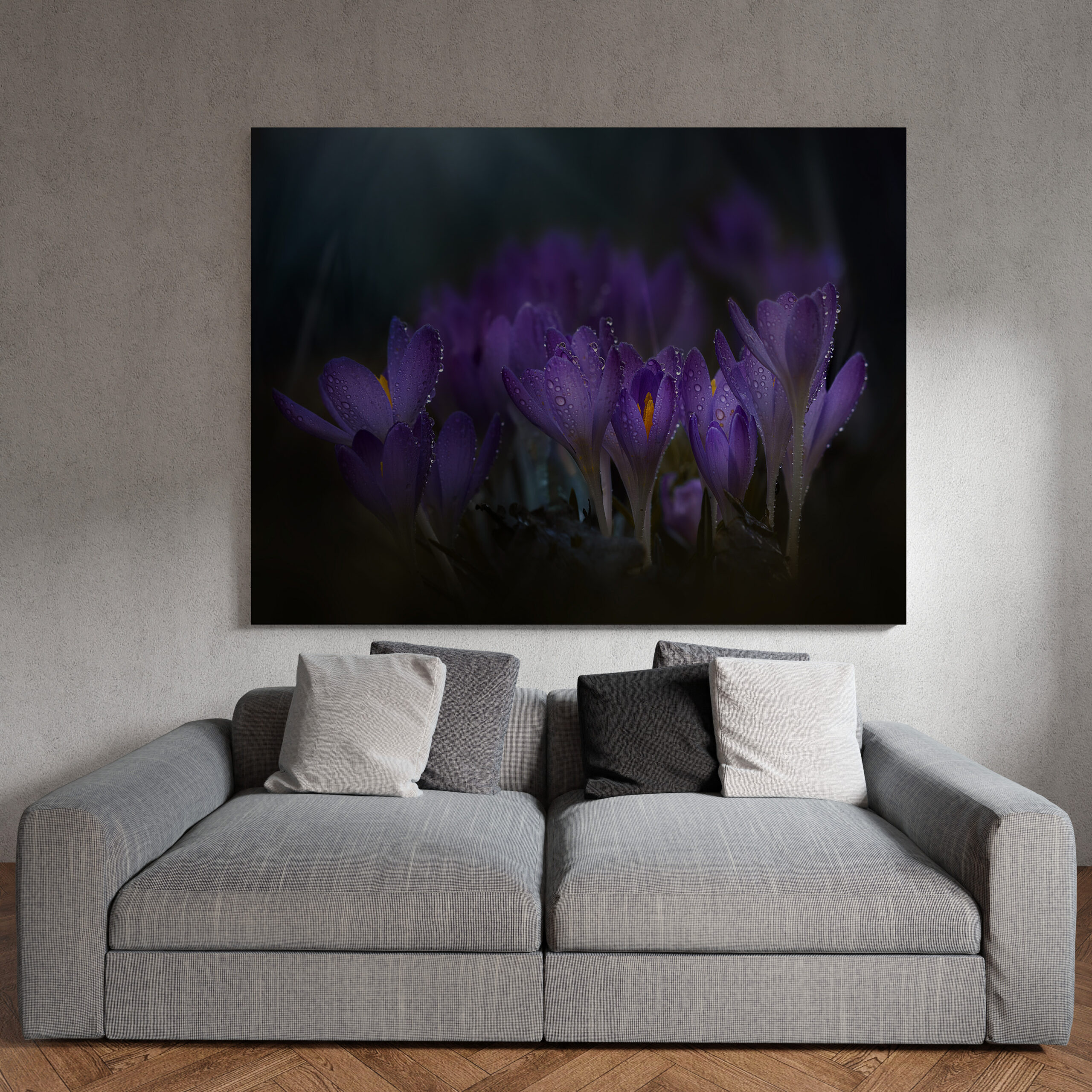 raxxa Canva: Erblühen