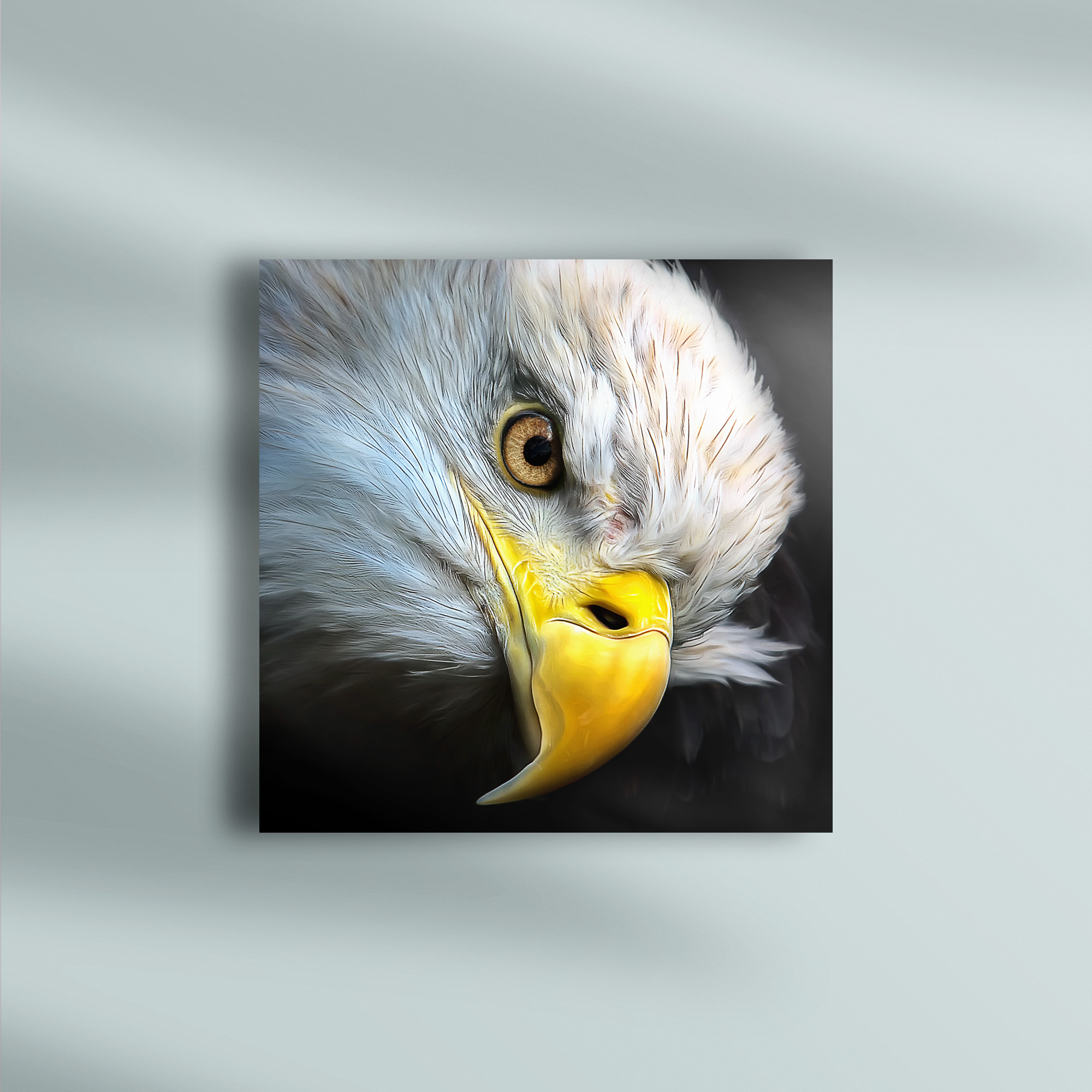 raxxa Canva: Adlerblick - Image 2