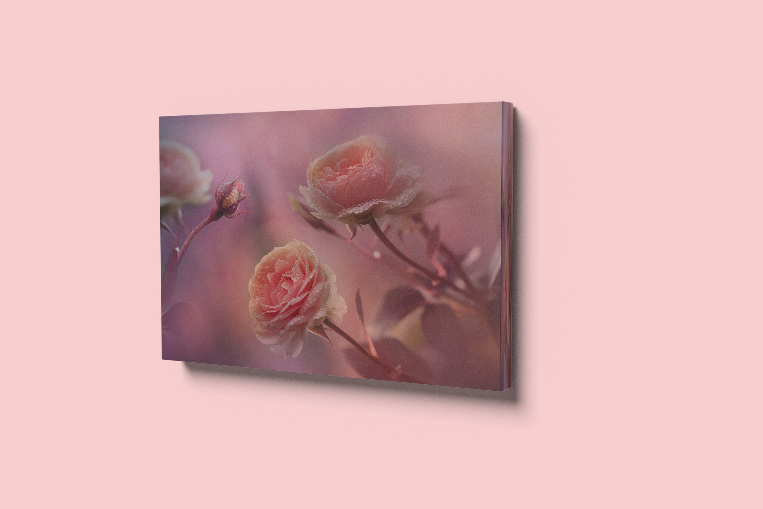 raxxa Canva: Rosenland – Image 2