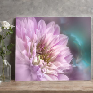 raxxa Canva: Blumenherz